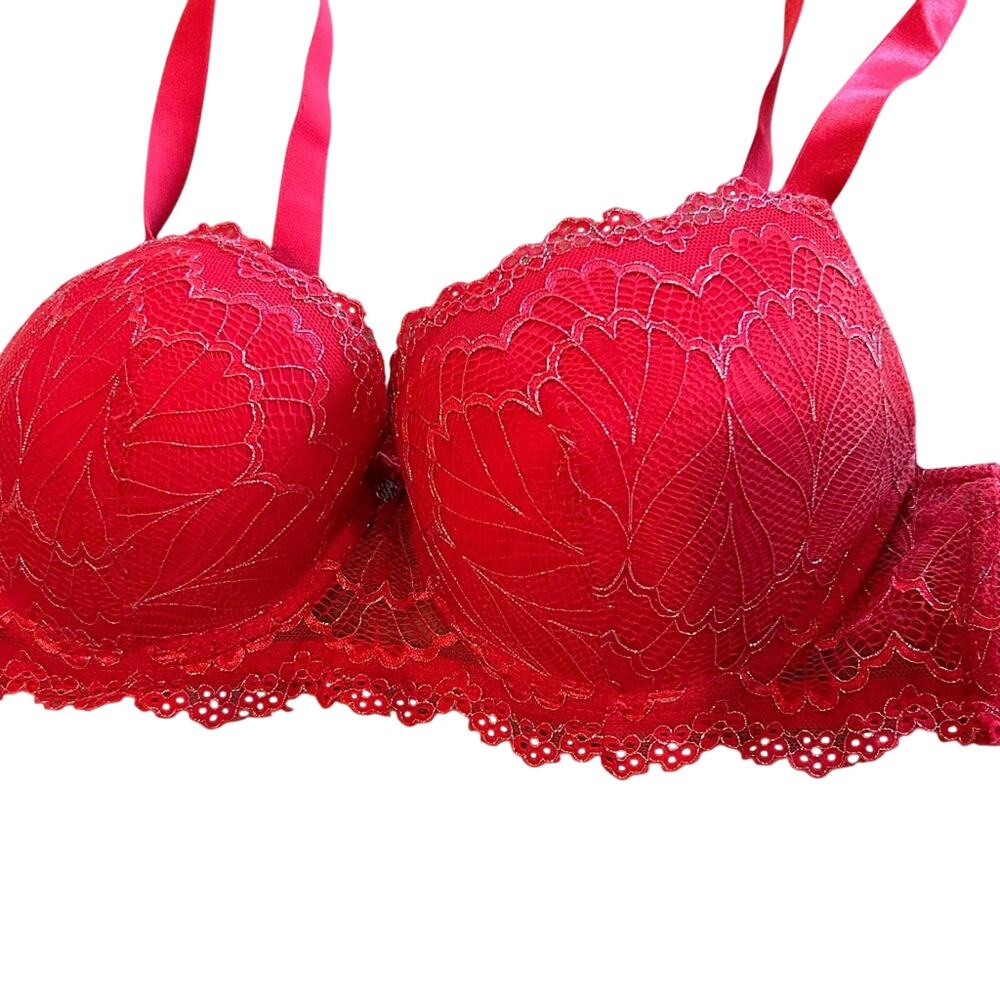 Daisy Fuentes Crimson Red Lace Padded Push Up Underwire Bra Size 38C NWOT